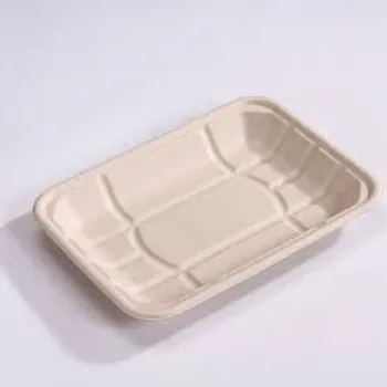 Disposable Food Tray